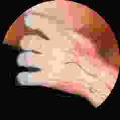 Ce logo ramne toujours au prsent MODULE. 